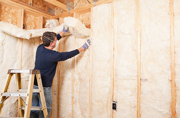 Best Commercial Insulation Services  in Rock Hill, SC