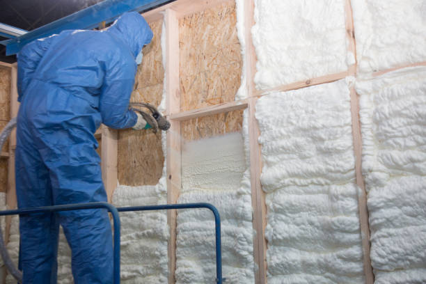 Best Spray Foam Insulation  in Rock Hill, SC